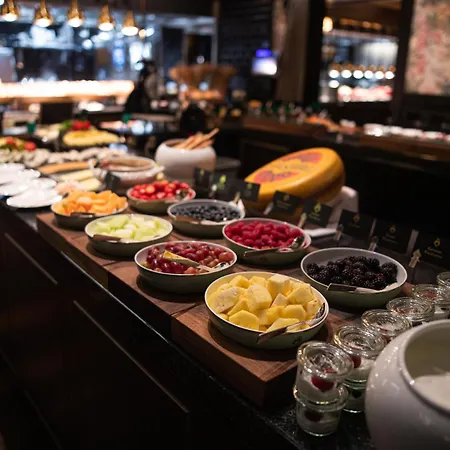 酒店 松恩酒店 5*