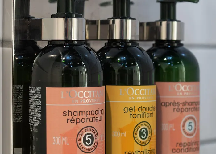 酒店 松恩酒店 奥斯陆