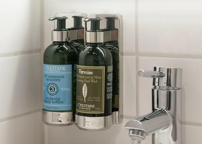 酒店 松恩酒店 5*